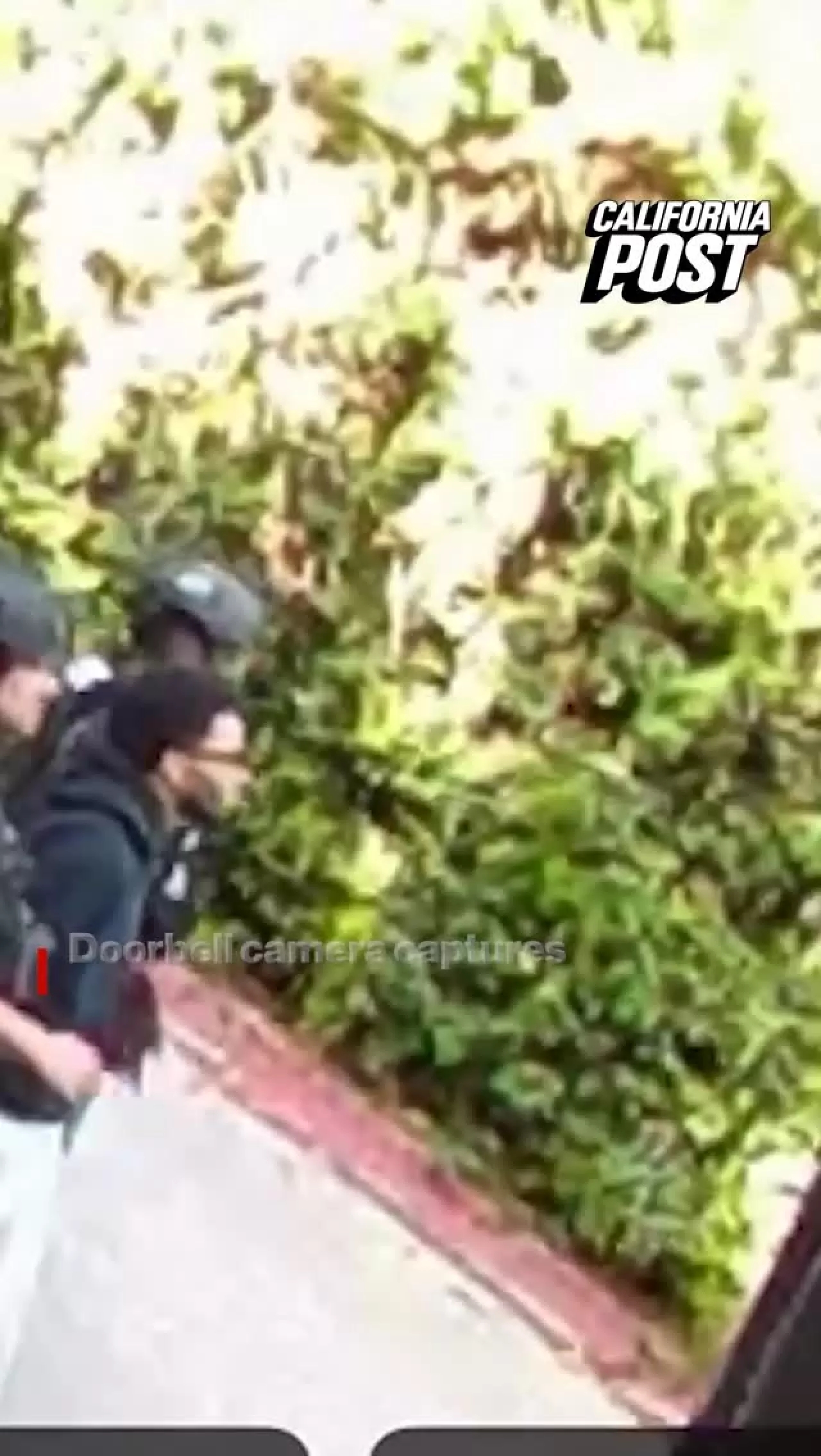 D4vd Hollywood Hills'deki Evinden Kelepçeli Çıkarıldı | LAPD Operasyonu