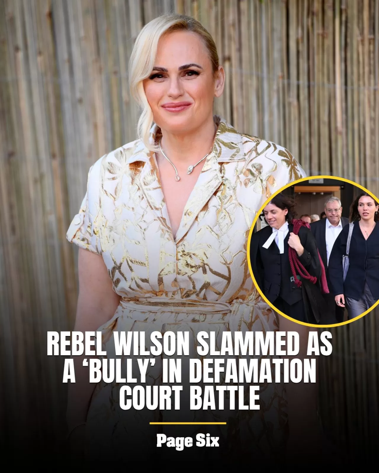 Rebel Wilson, Sydney Mahkemesinde İftira Davasıyla Yüzleşti