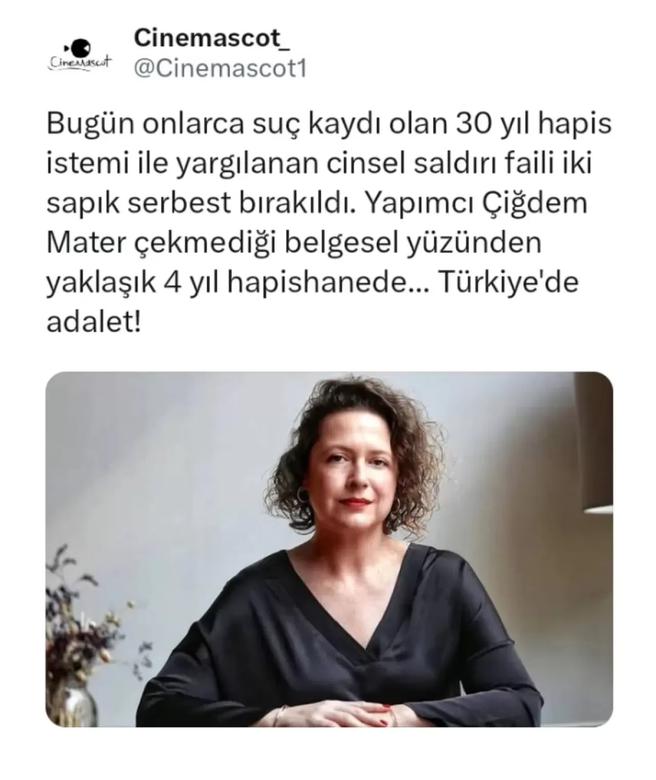 Beyoğlu'ndaki Cinsel Saldırı Davasında Sanıklar Tahliye Edildi