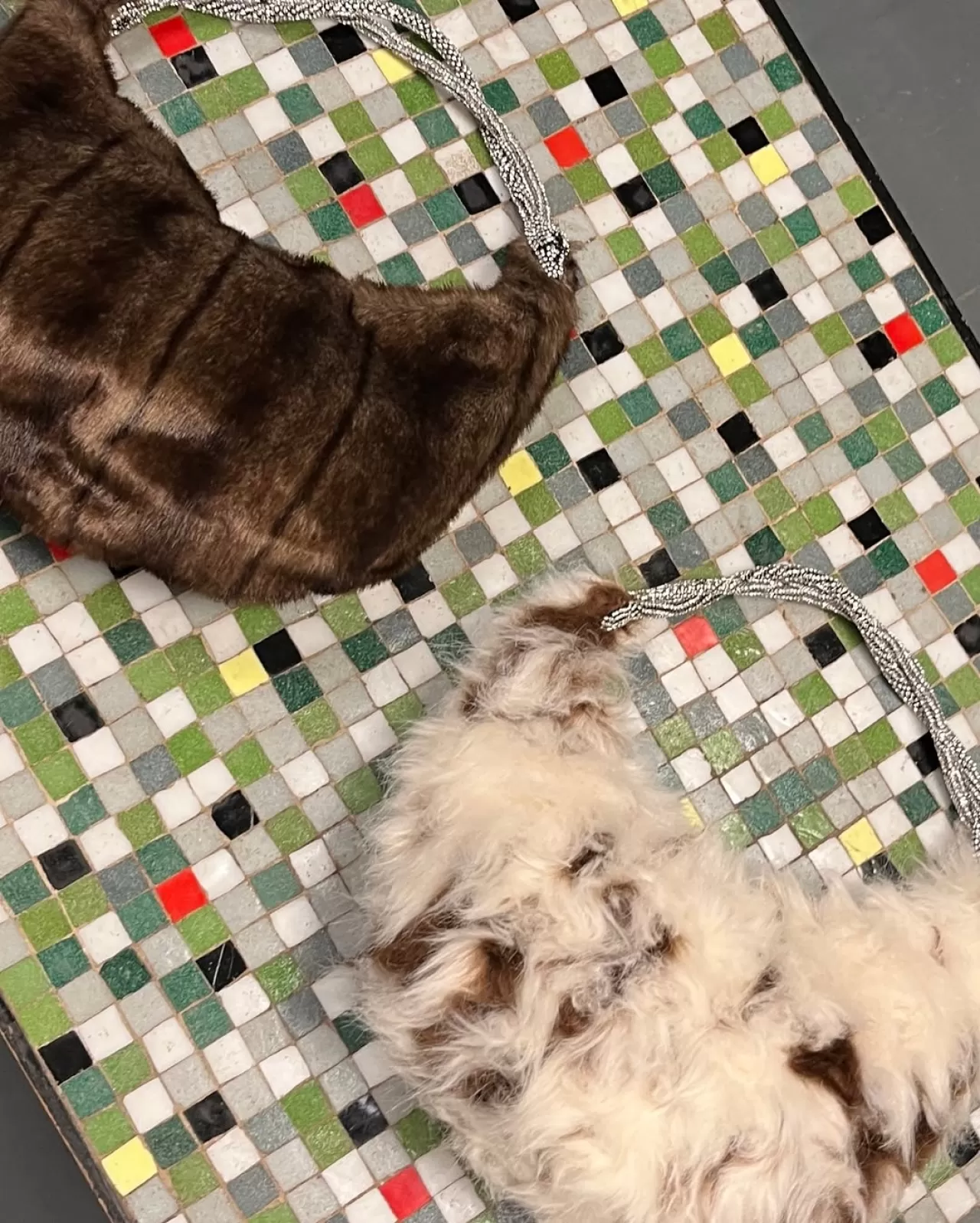 Chicago Bags'tan Yeni Tasarım: İki Farklı Modelde Kuğu Detaylı Çantalar