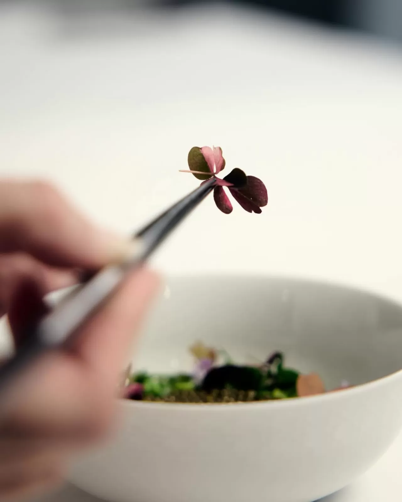 Michelin Yıldızlı Şef Anne-Sophie Pic'ten Dior'un Beijing Lokantası İçin Özel Tatlar