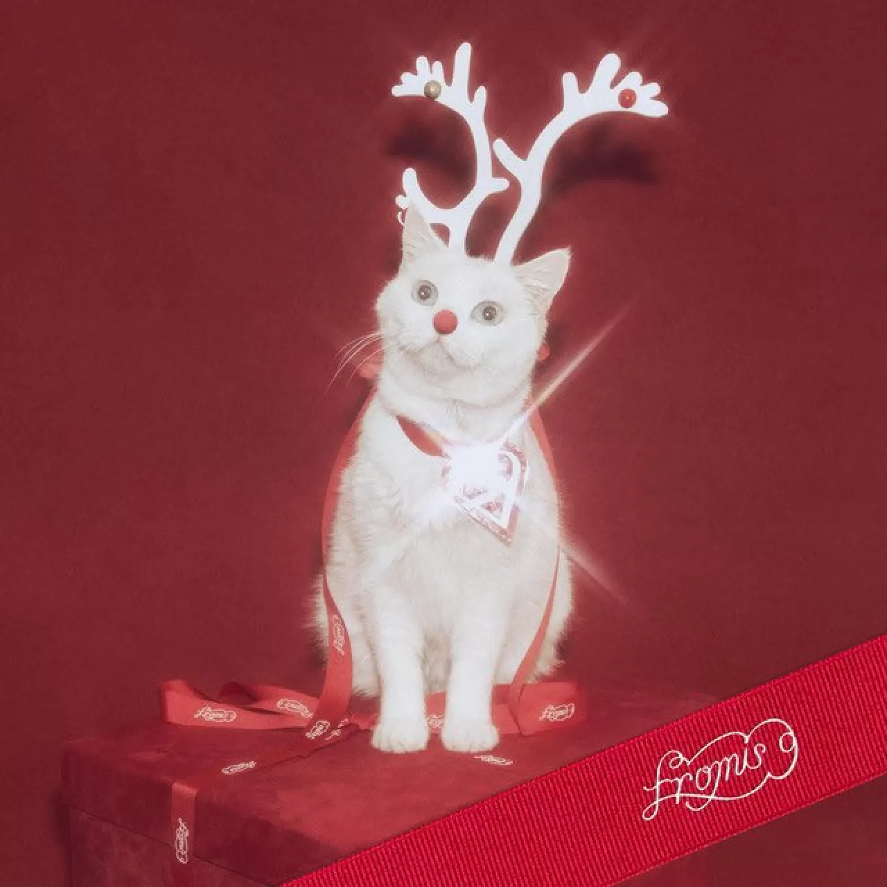 fromis_9'un 'White Memories' Şarkısı MelOn Günlük Listede Rekor Kırdı