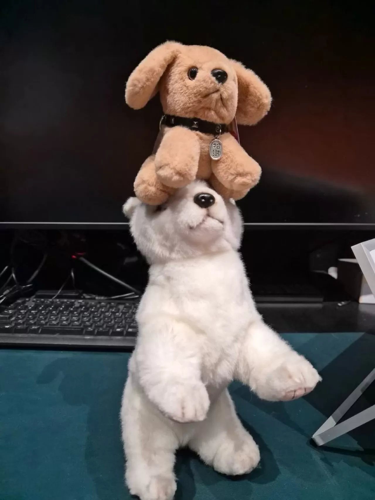 ENHYPEN Lideri Jungwon, Weverse Üzerinden Hayranlarıyla Buluştu