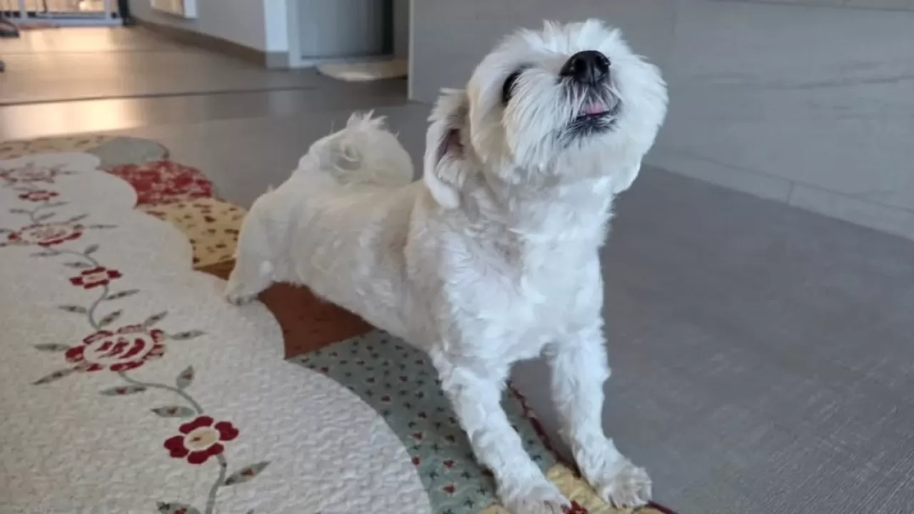 ENHYPEN Lideri Jungwon, Weverse Üzerinden Samimi Paylaşımlarda Bulundu