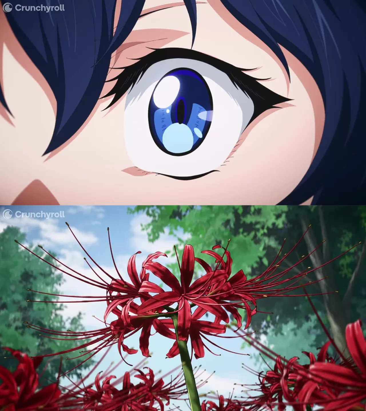 İlkbaharın Müjdecisi: Kusakabaların Görülmesi Mevsim Değişiminin Habercisi