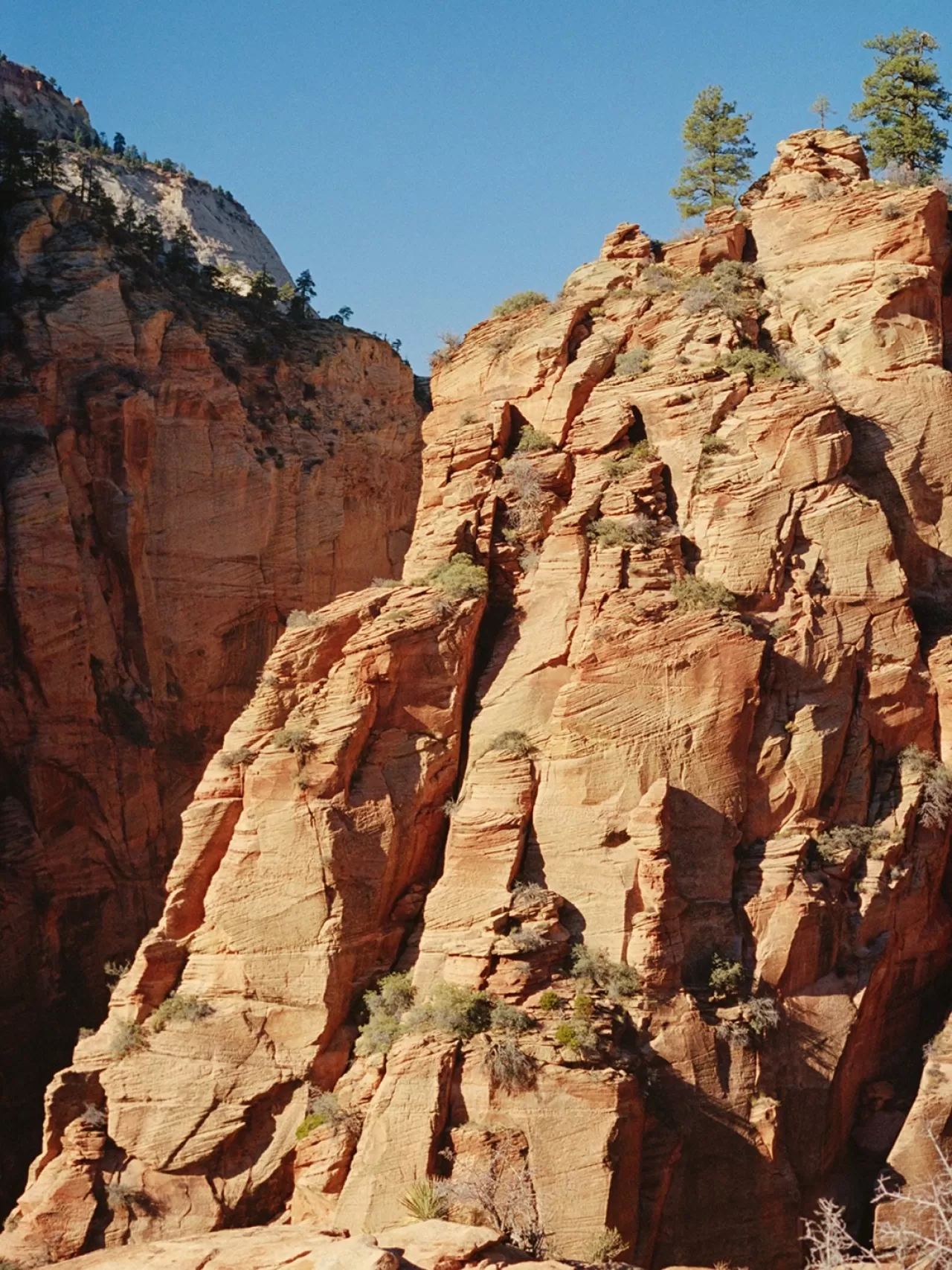 APC'nin Yeni Koleksiyonu, Batı Kıyısı'nın Sakin Yolculuk Ruhunu Yansıtıyor