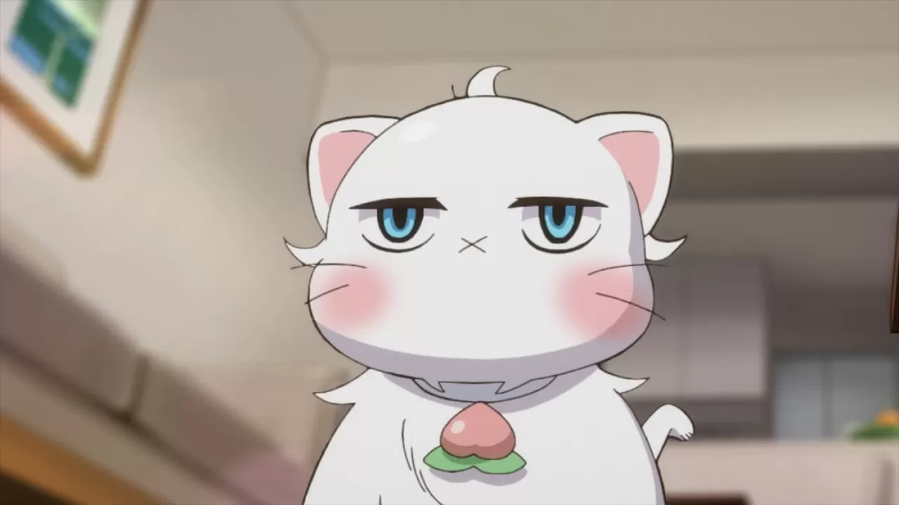 Hayranlar, 'Yeni Patronum Sakar' Anime Serisinin Sevilen Karakteri Hakutou'nun Doğum Gününü Kutluyor