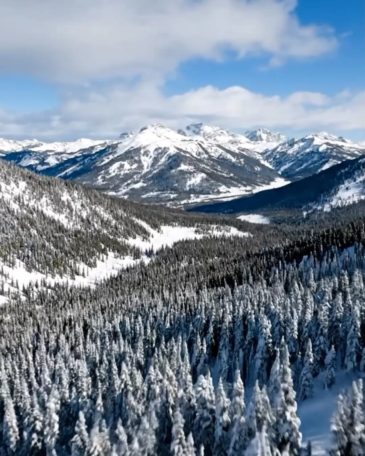 MACKAGE Markası Aspen'da Geçici Mağaza Açıyor