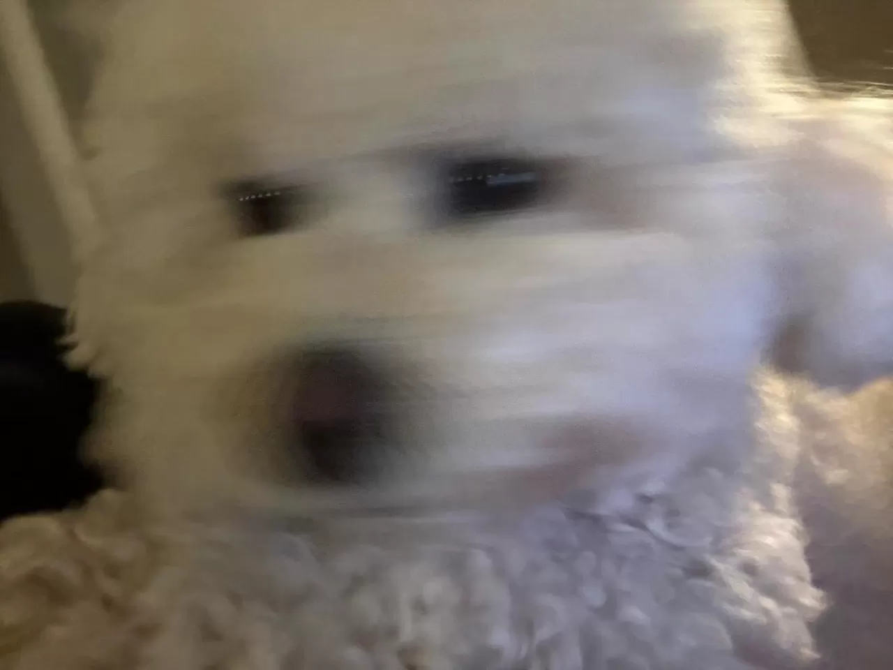 Stray Kids Üyesi Han'ın Sağlık Durumuyla İlgili Açıklama Yapıldı