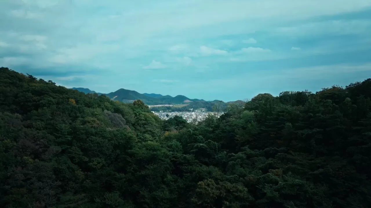 Aku no Hana Live-Action Dizisi 9 Nisan 2026'da Başlıyor