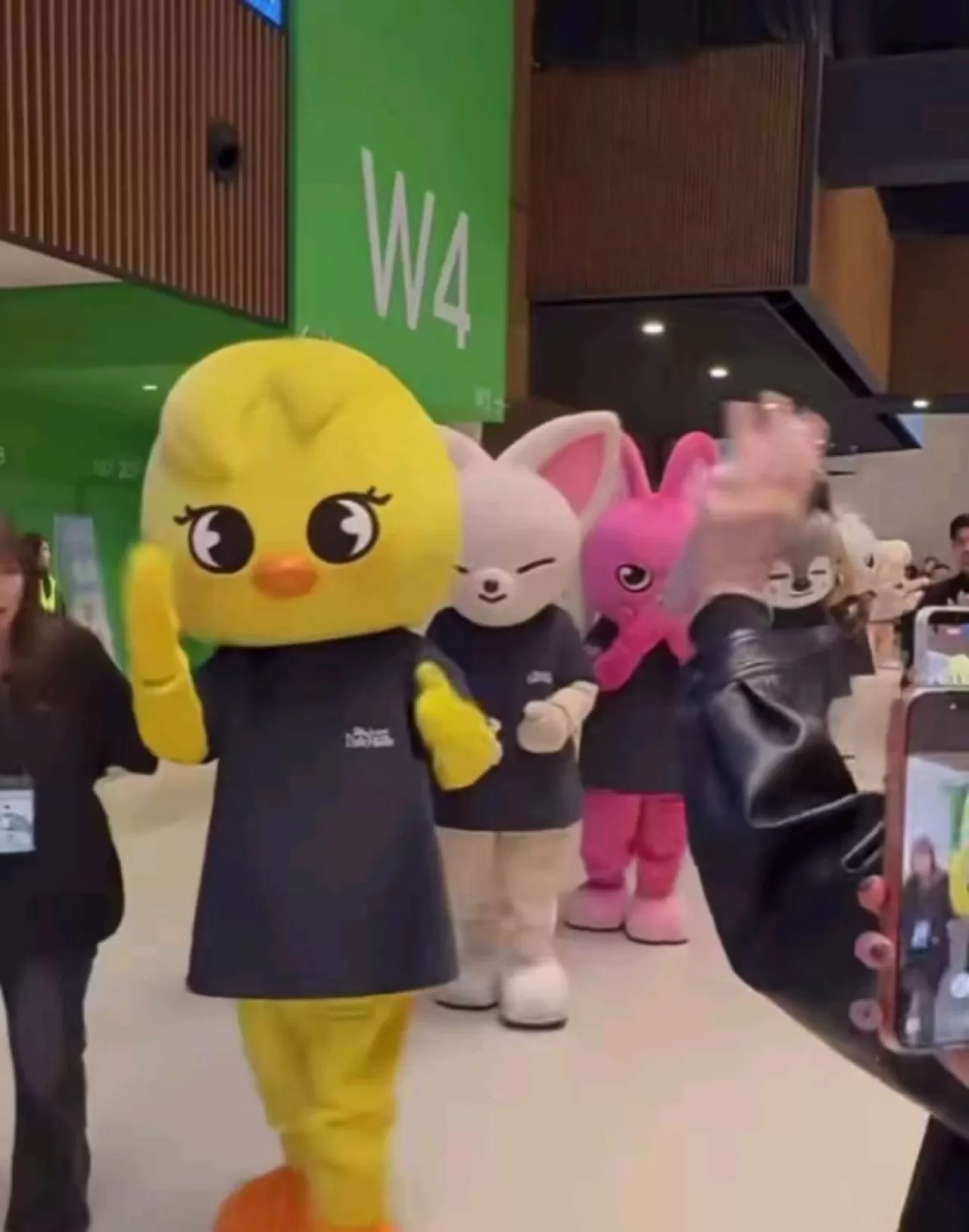 SKZOO Karakterleri, Hayran Buluşması İçin Bekleyen STAY'leri Selamladı