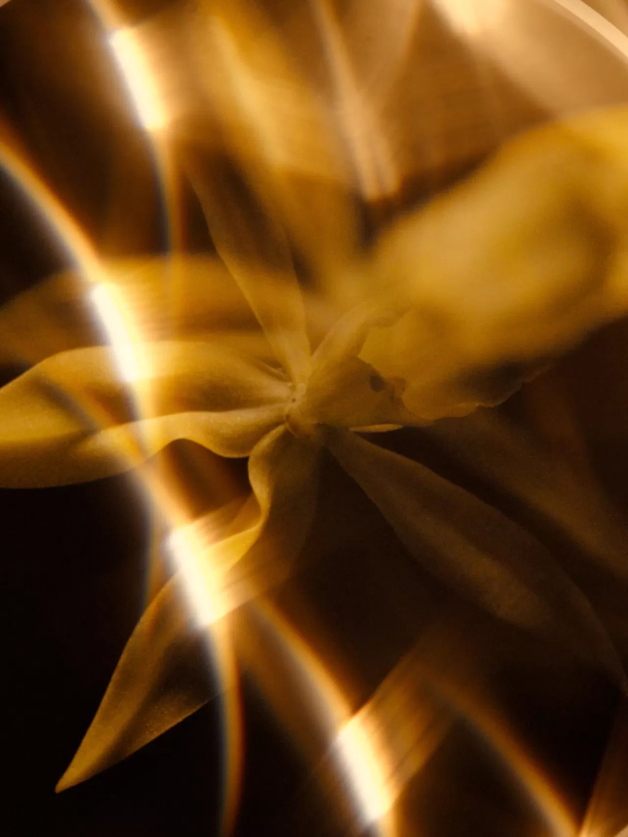 Chanel'in Yeni Bakım Ürünü: 40 Kat Yüksek Aktif ile Sublim Cilt