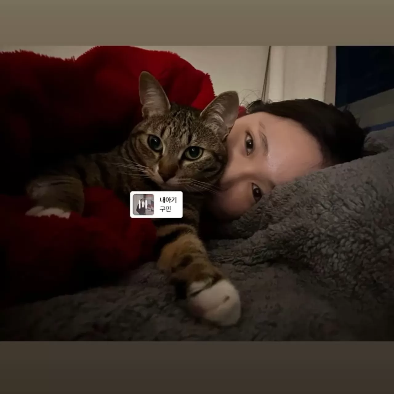 EVERGLOW'dan Mia İçin Özel Instagram Story: Hayranlar Heyecanlandı