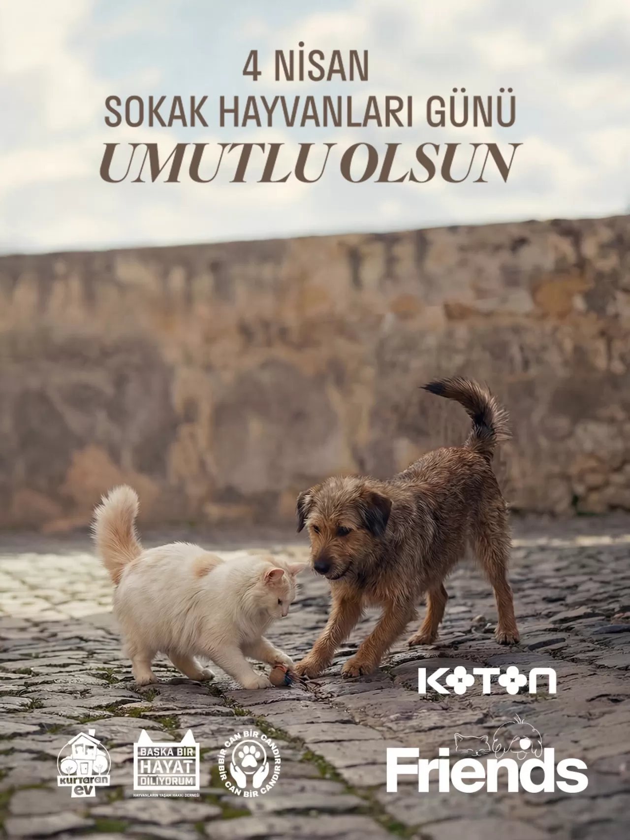 Koton'un Friends Koleksiyonu Gelirleri Hayvanlara Umut Oluyor