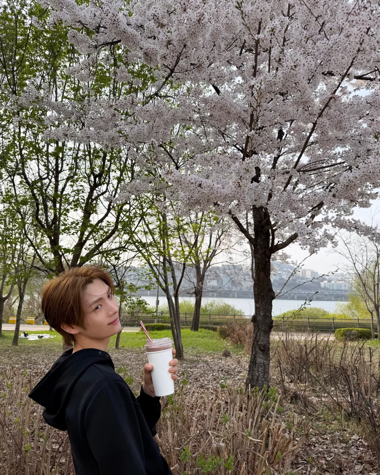 TWS Youngjae ve Shinyu, Han Nehri'nde Kiraz Çiçeği Buluşması