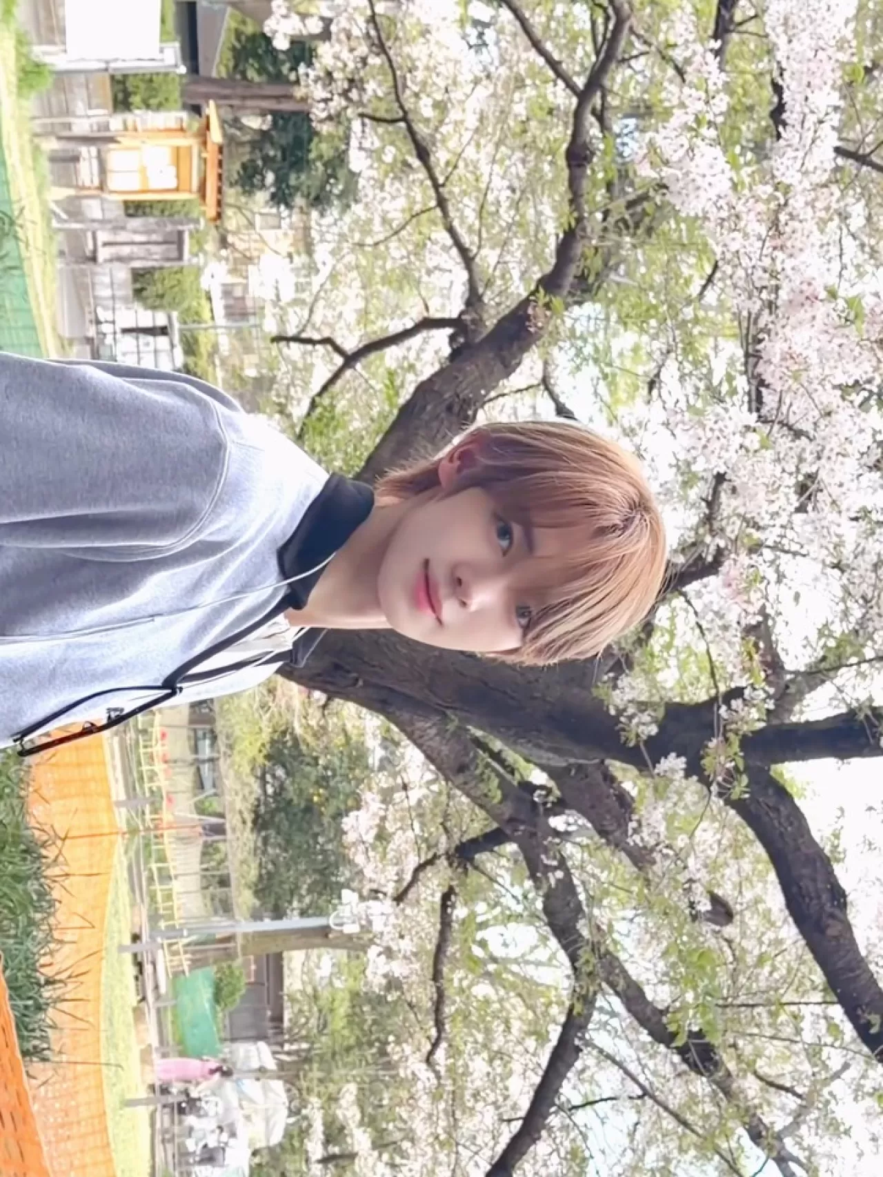 TWS ve HANJIN'den "247WithUs" Etkinliği: Hayranlarla Buluşma Vakti