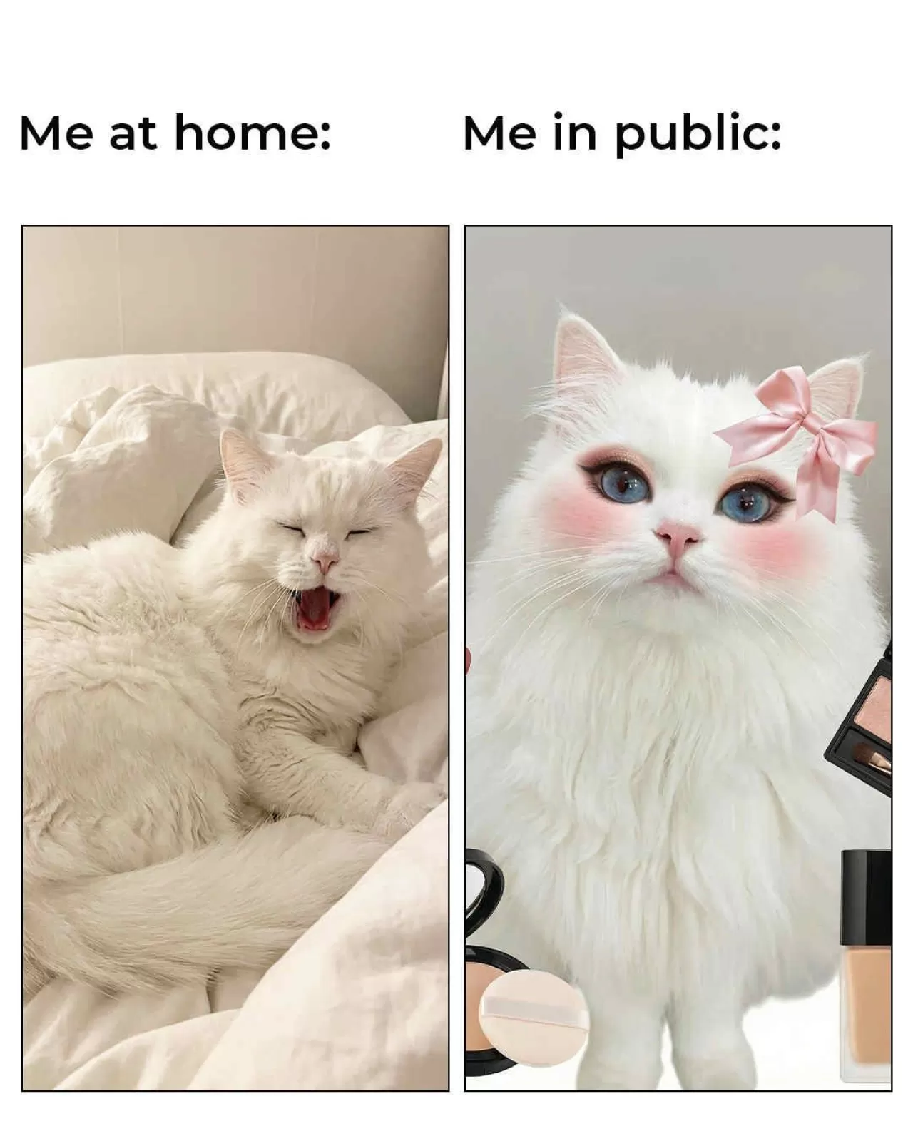 Shein'in Yeni Kampanya Sloganı Moda Dünyasında Yankı Uyandırıyor