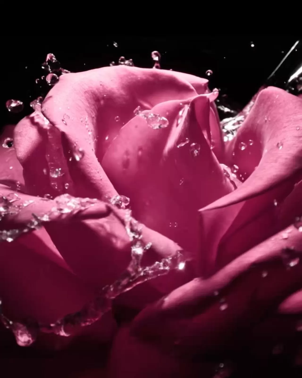 Dior'dan Yeni Parfüm: Rose Star ile Gül ve Yıldızın Kokusal Buluşması