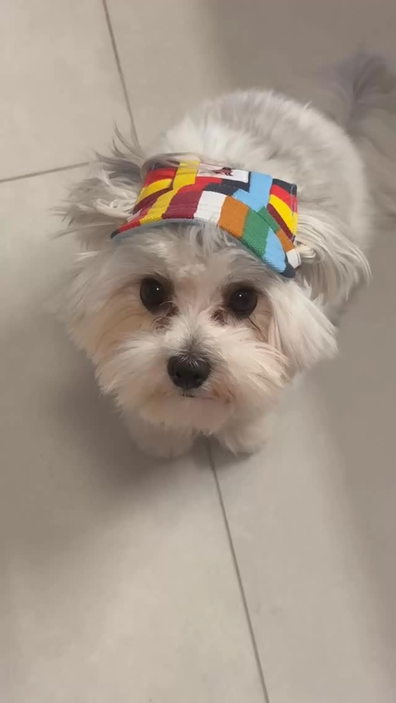 Mine Tugay'ın "Lilly" İtirafı Sosyal Medyada Gündem Oldu