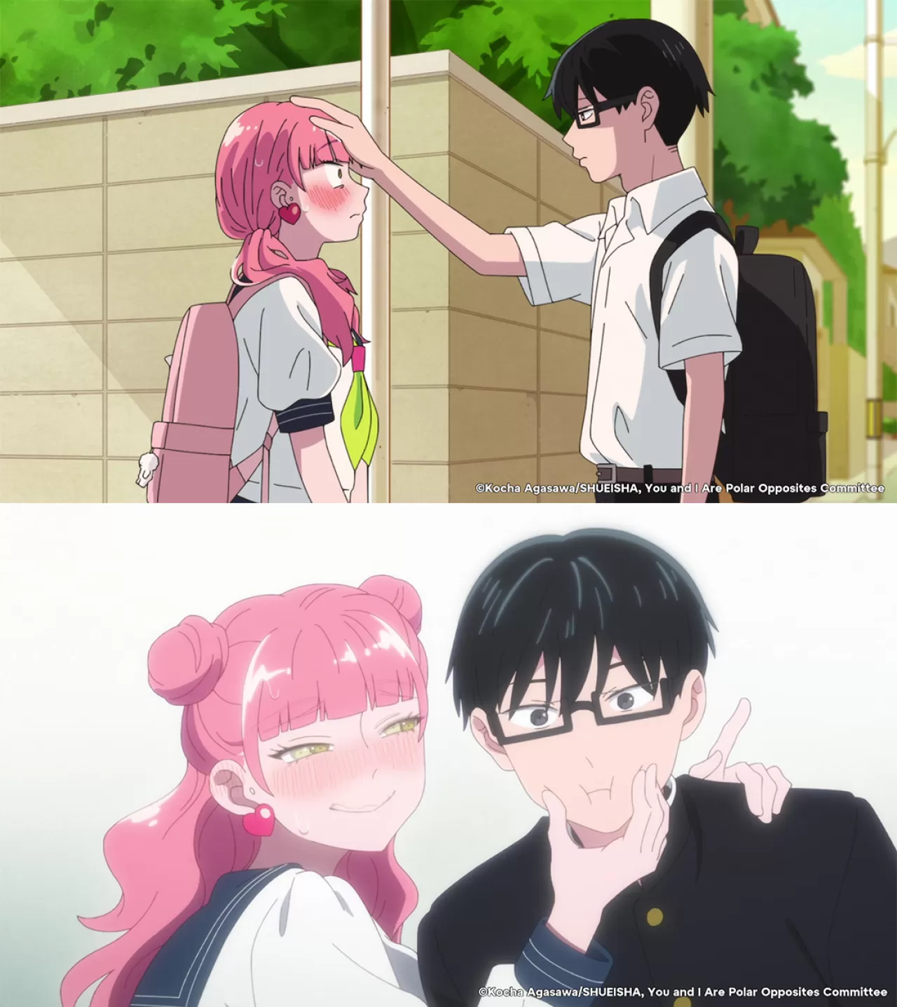 Crunchyroll ve You and I Are Polar Opposites Arasındaki Uyum İncelemesi