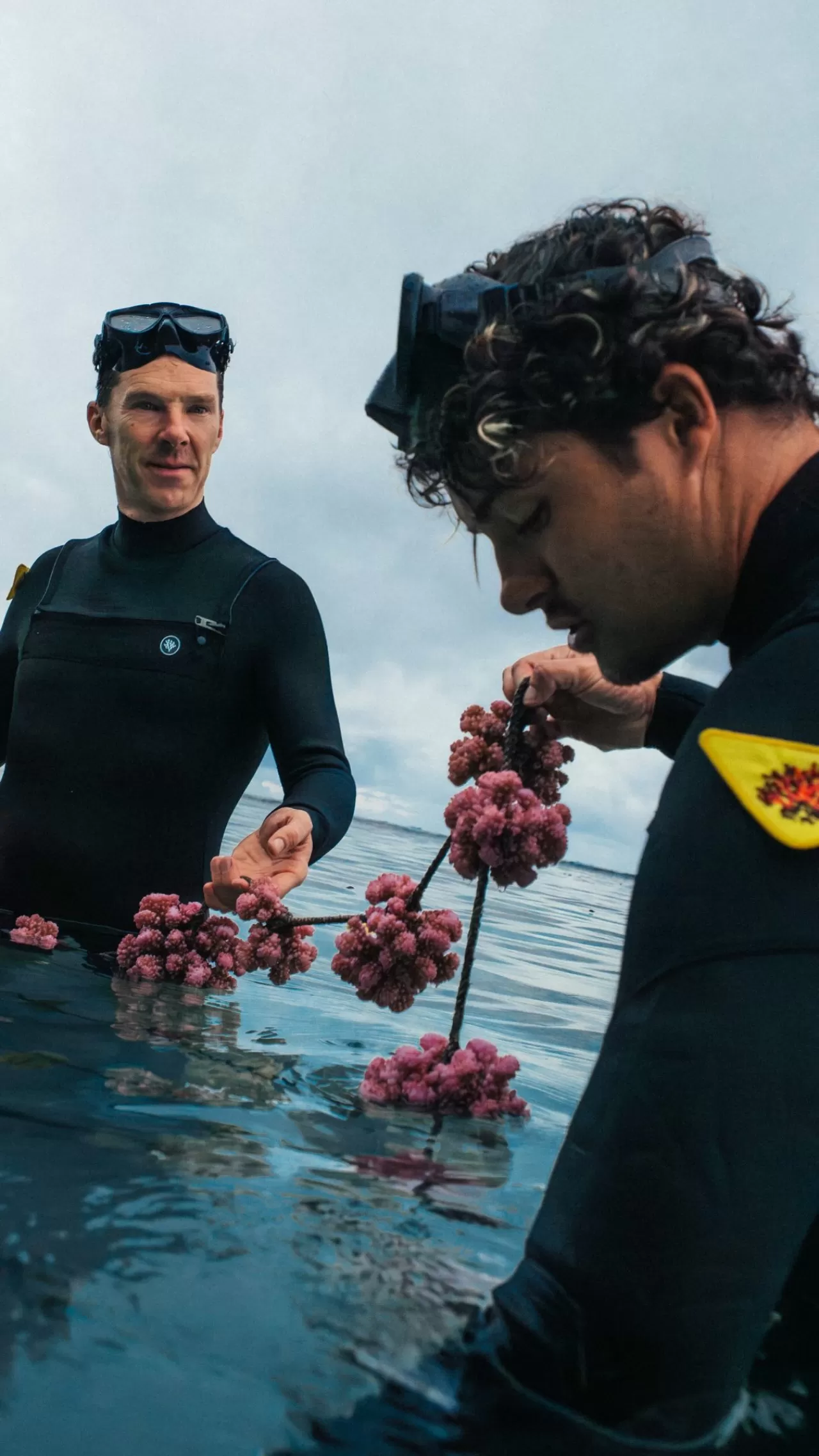 Benedict Cumberbatch, Prada'nın Mercan Koruma Projesini İnceledi