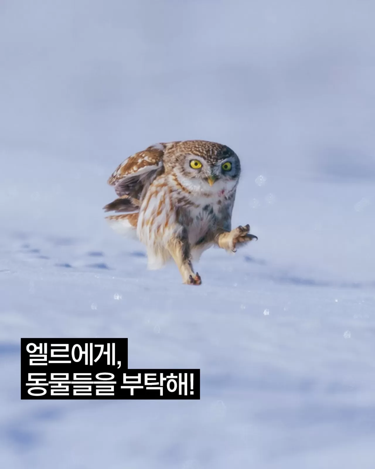 Elle Korea, Vahşi Doğayla İlişkimizi Sorgulayan Editorial Yayımladı