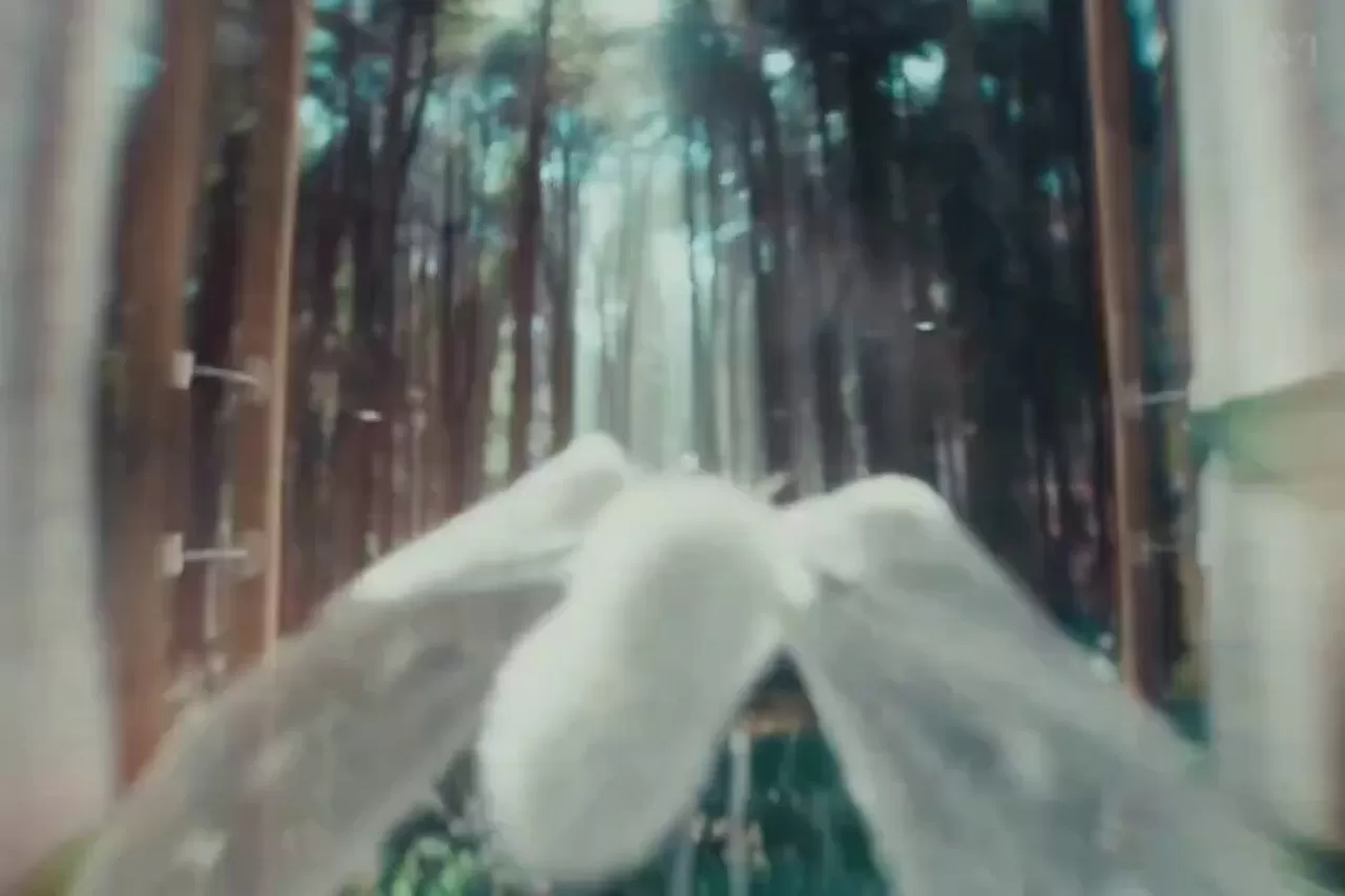 NCT WISH Ode to Love Single'ını Tüm Platformlarda Yayınladı