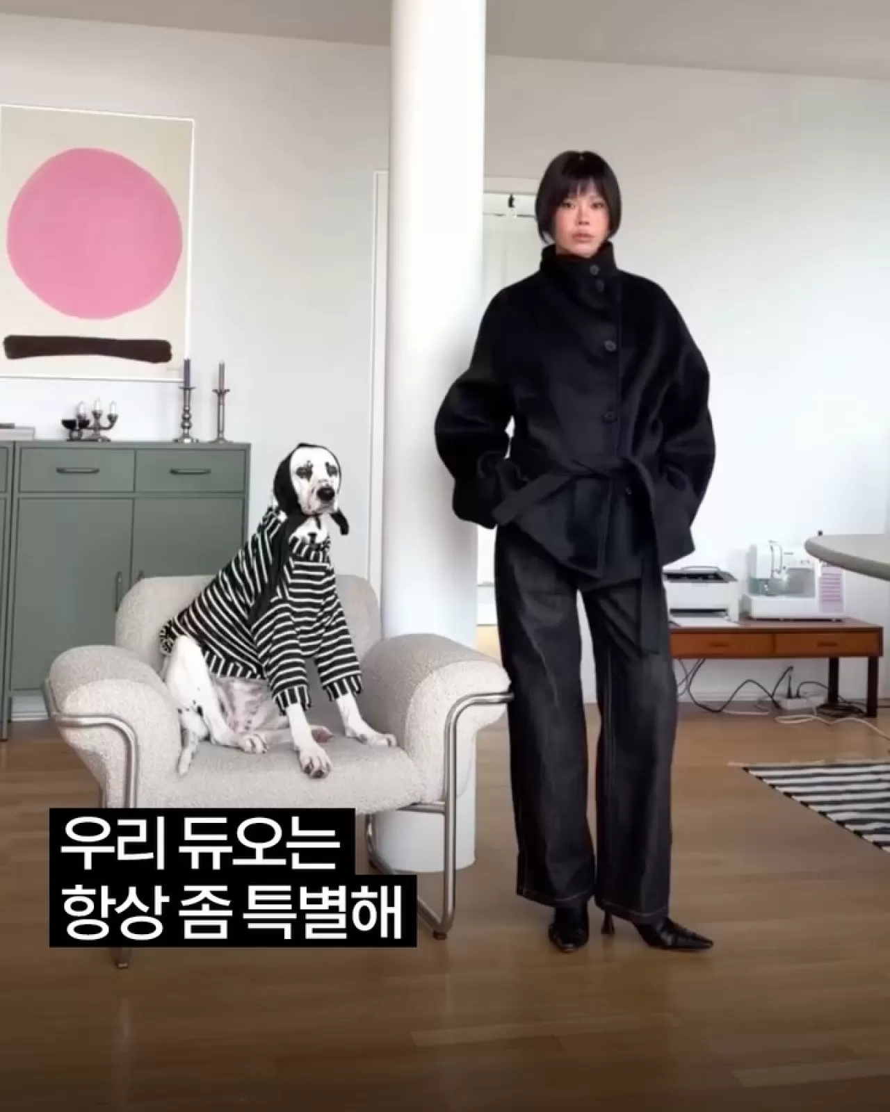 Jing Wei ve Köpeği: Evcil Hayvan ve Sahip Stili Yeni Boyuta Taşındı