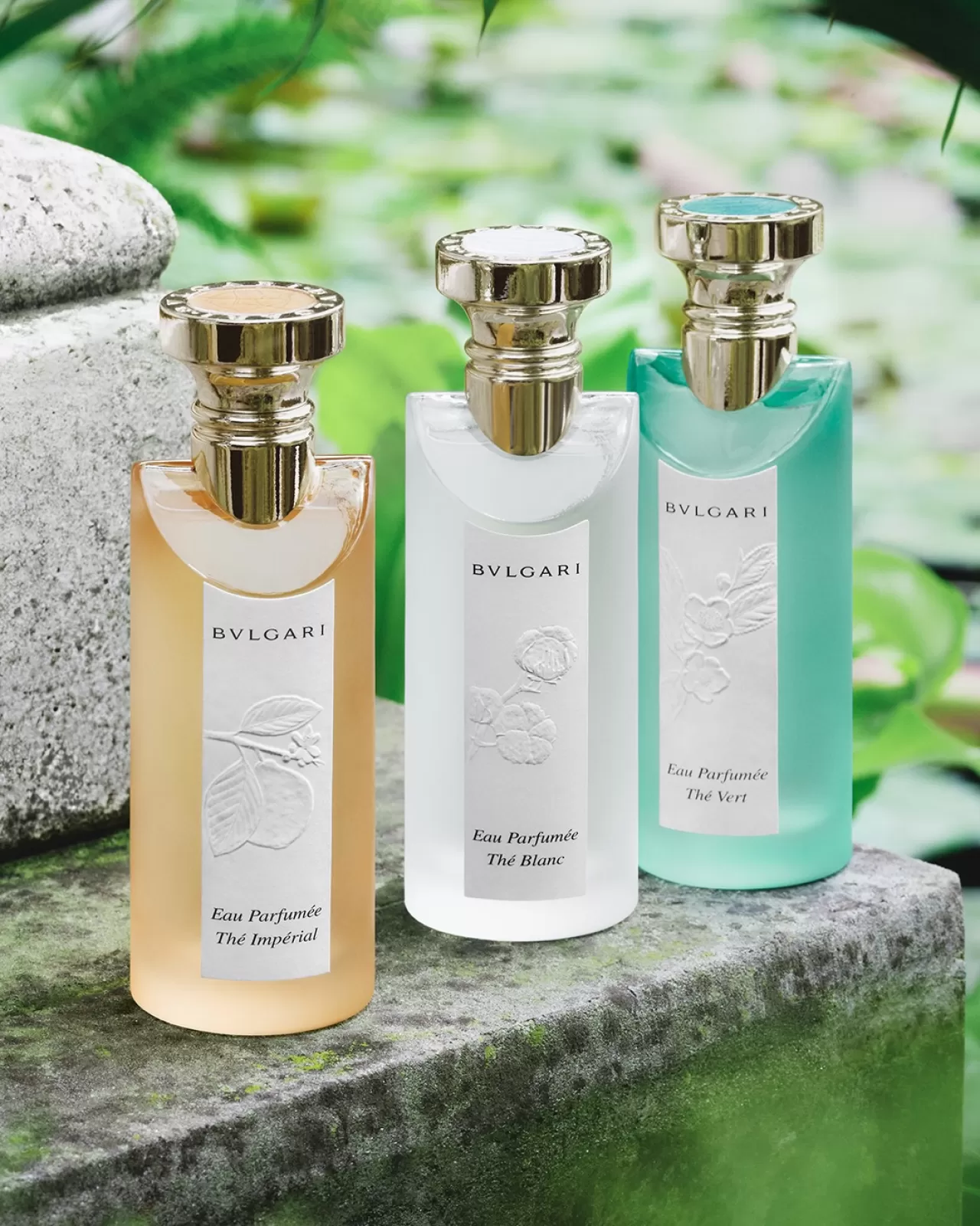 Bvlgari'nin Yeni Parfümü: Çay ve Narenciyenin Zarif Buluşması