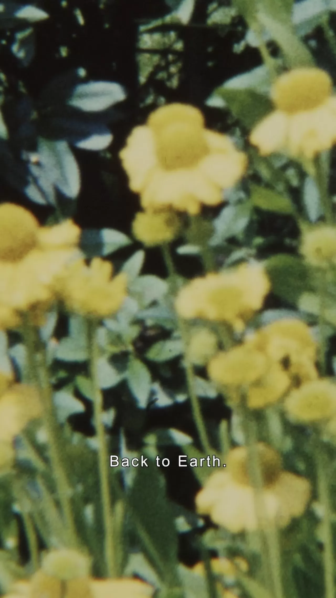 Ferragamo 2025 Sürdürülebilirlik Raporunu Açıkladı