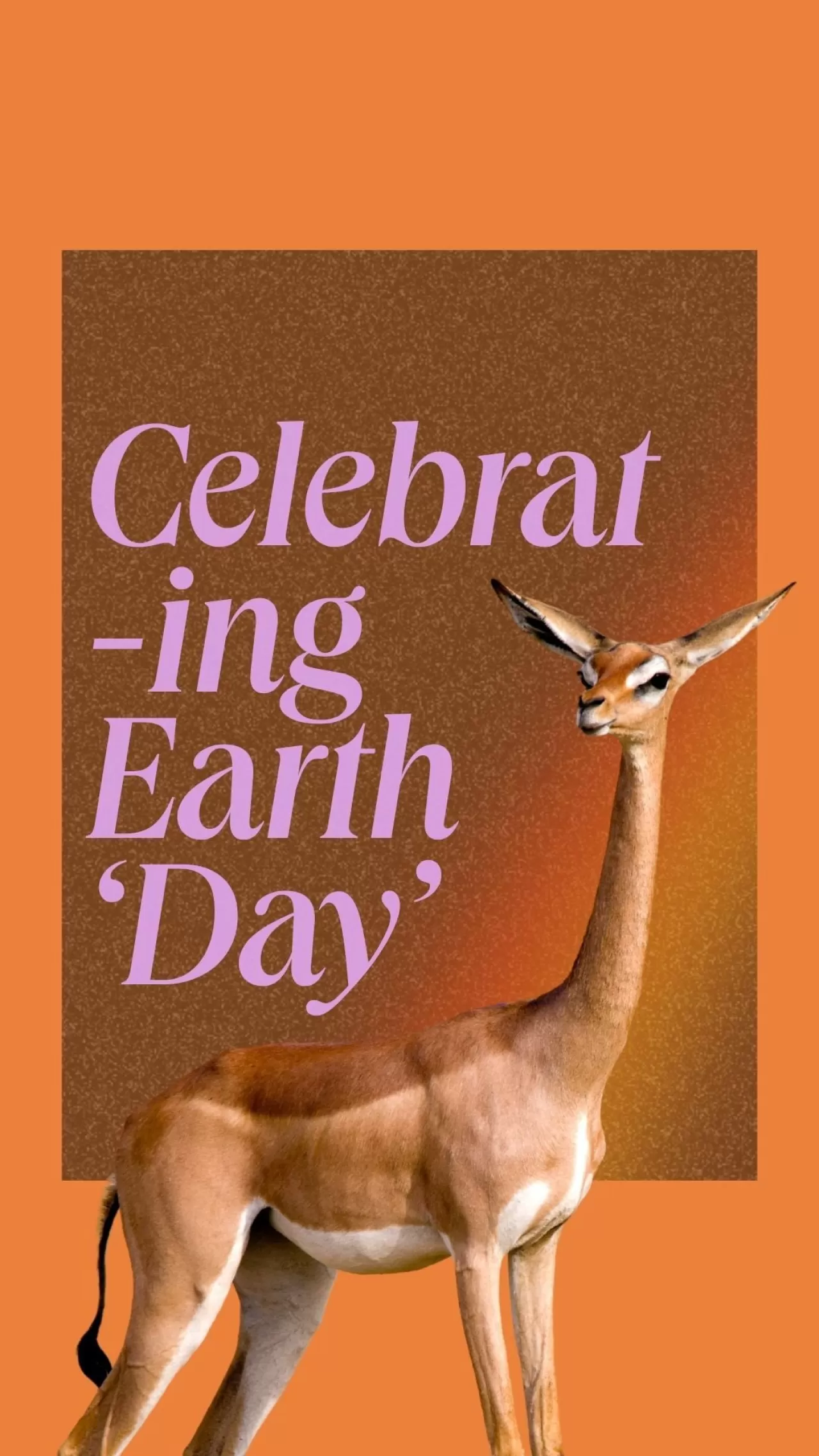 DiCaprio'dan Dünya Çevre Günü'nde 565 Milyon Dönüm Çağrısı