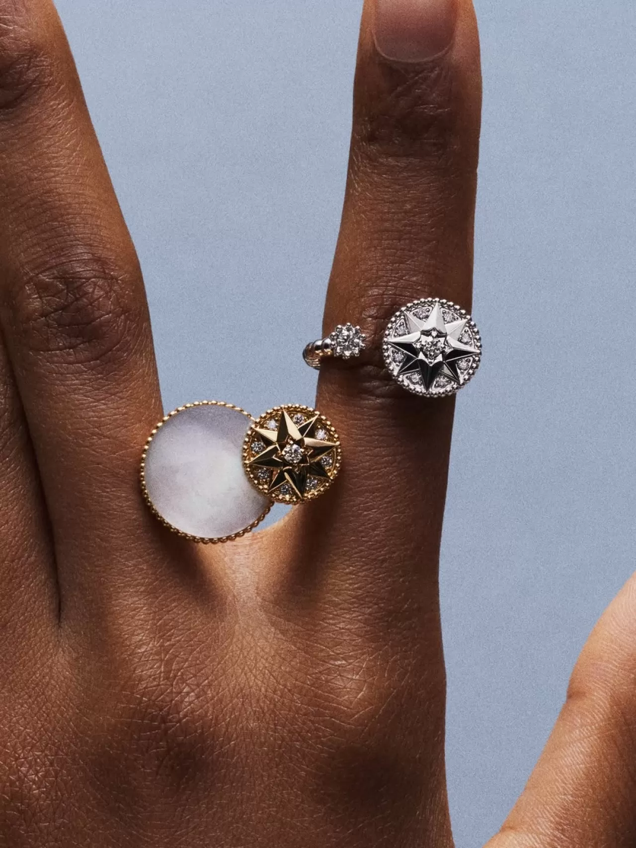 Dior'un Gök Cisimlerinden İlham Alan Rose des Vents Mücevherleri Satışta