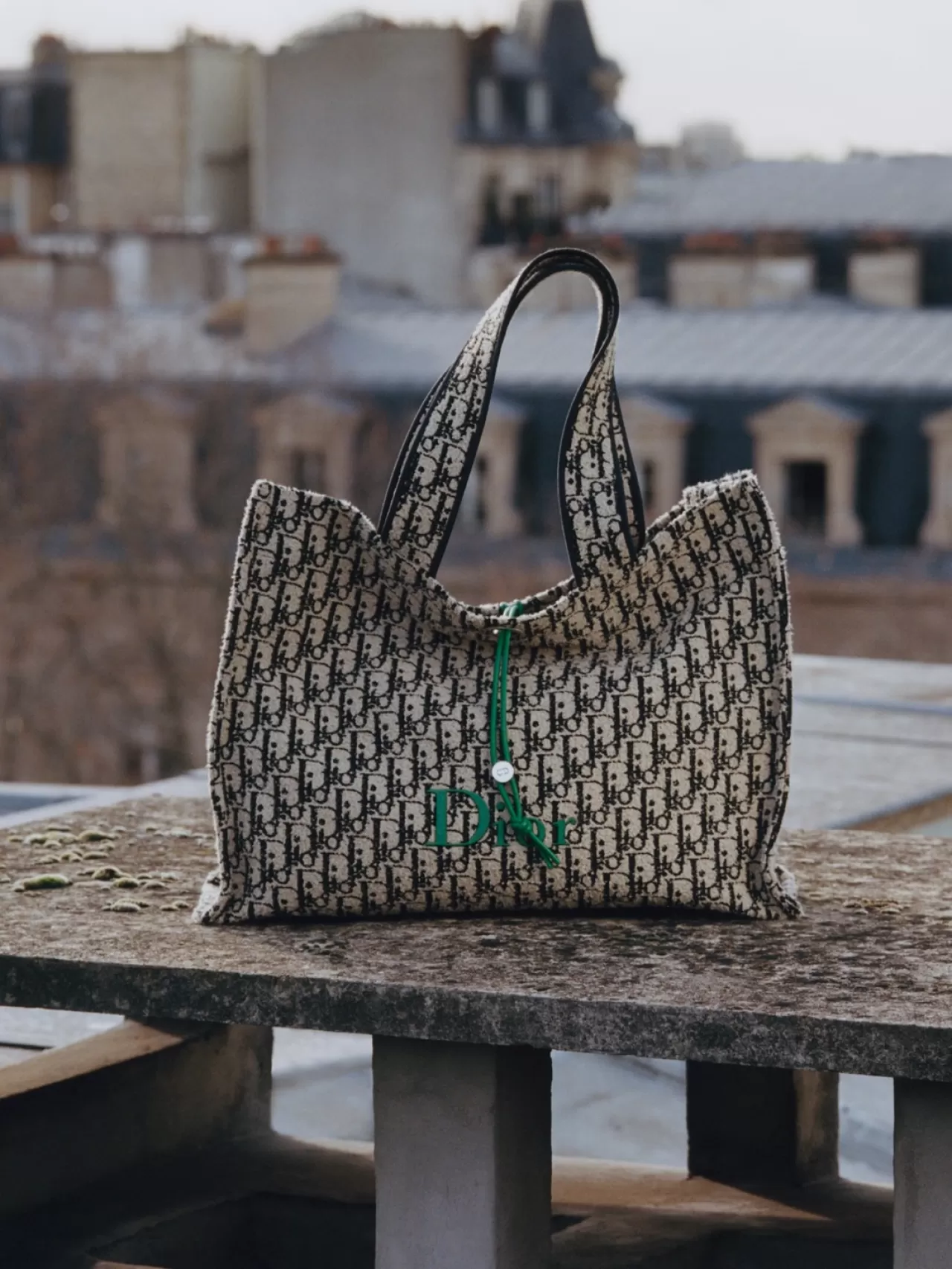 Dior Sonbahar 2026 Koleksiyonu: Paris Çatısında Lüks Moda Şovu