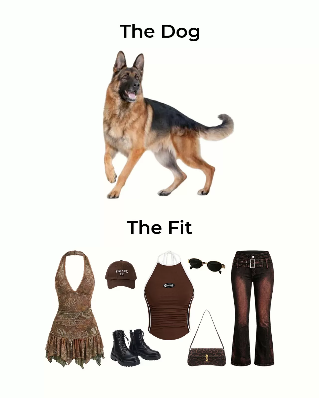 Shein'den Köpek Tutkunlarına Özel: 