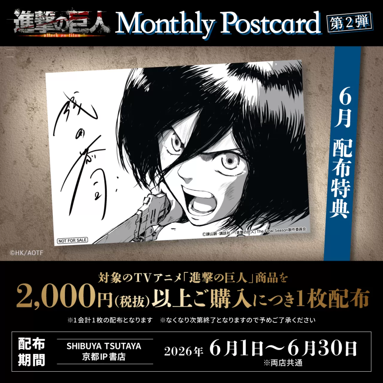Mikasa Ackerman June Postcard from WIT Studio – Pre-Order Details