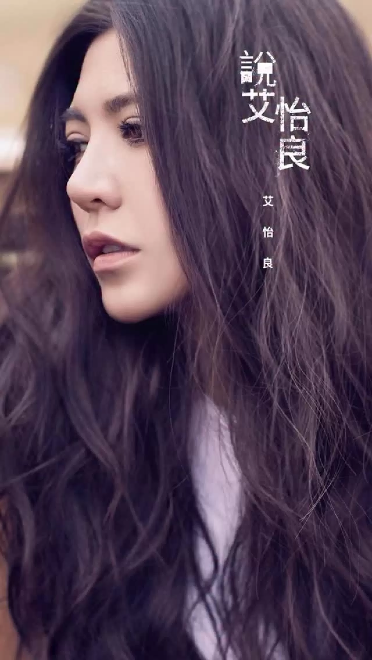 艾怡良《說 艾怡良》专辑发行10周年：回顾金曲奖历史性胜利