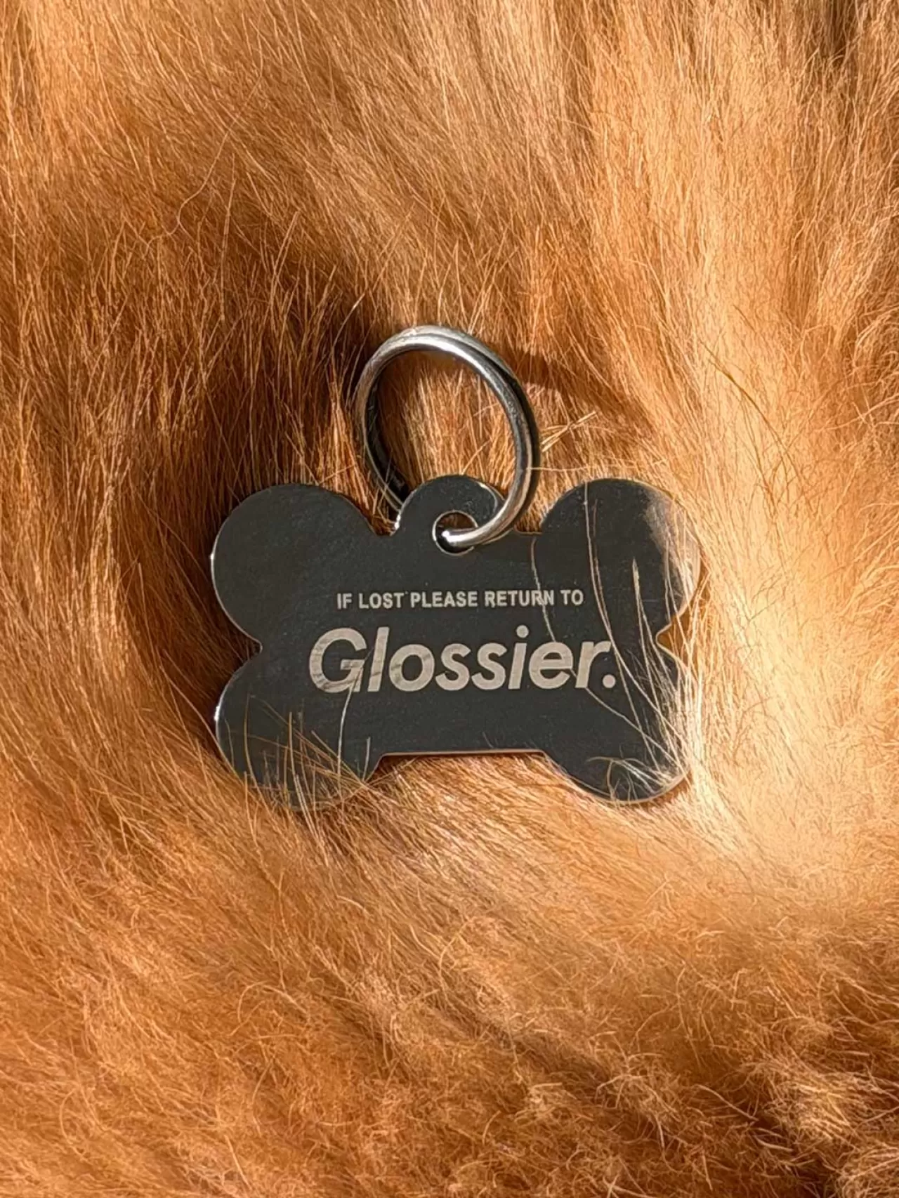 Glossier'den Evcil Hayvanseverlere Müjde: Ücretsiz Mamalar ve Özel Etkinlikler