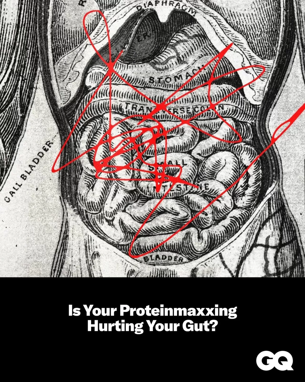 Protein Tozu ve Et Mideyi Bozar mı? Uzmanlar Hassas Mide İçin En İyi Protein Türlerini Açıkladı