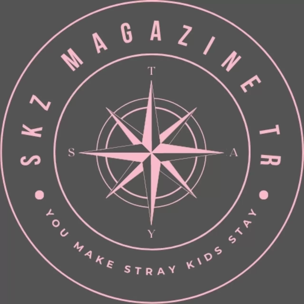Stray Kids Hayran Sayfası SKZMAGAZINE TR, Küresel Kitleye Ulaşmak İçin İçerik Formatını Değiştiriyor